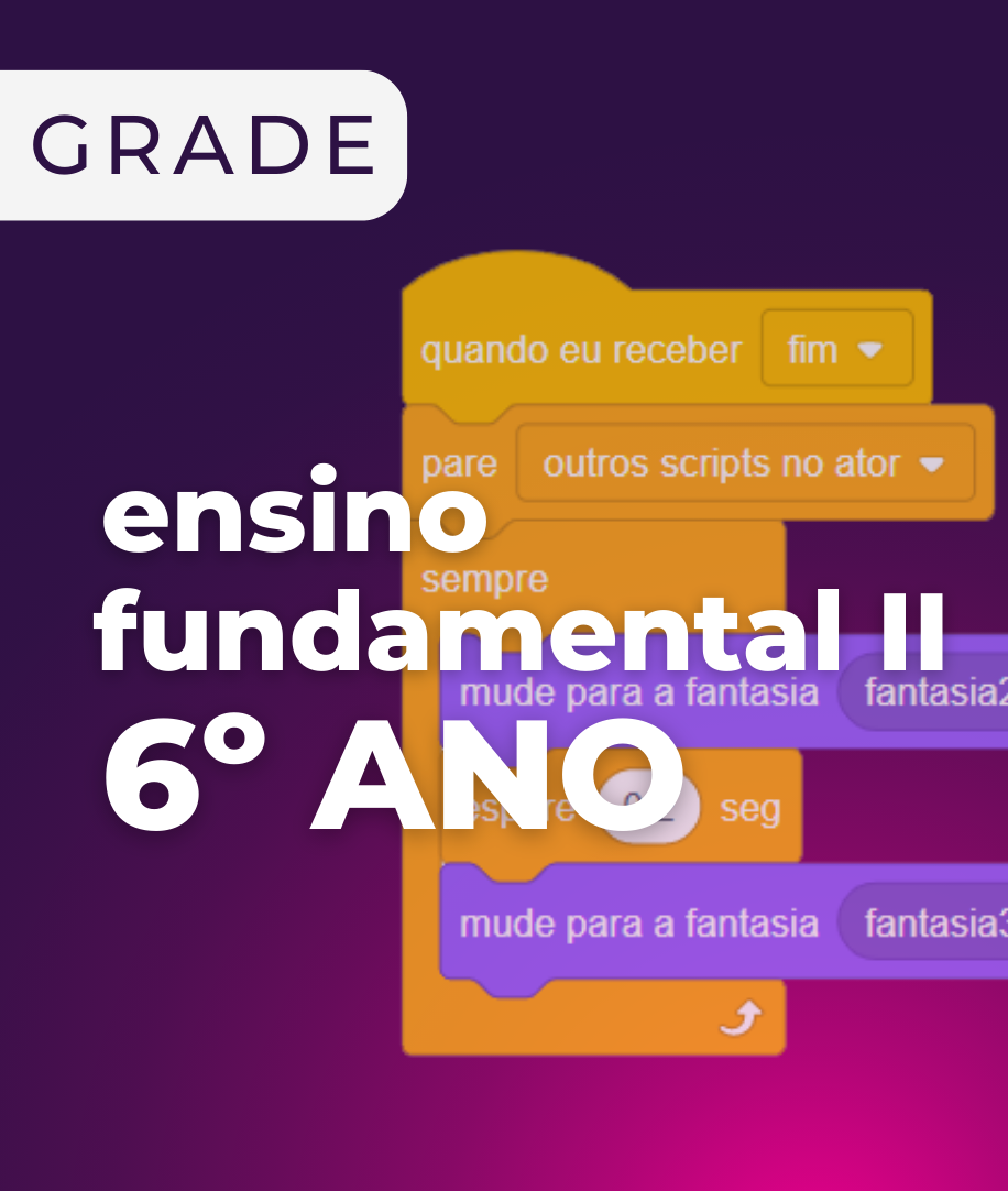 6° ano - Grade Curricular